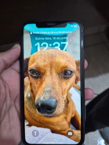 Iphone 11 preto 128 GB