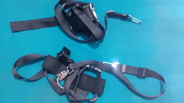 Cinto de segurança para pets