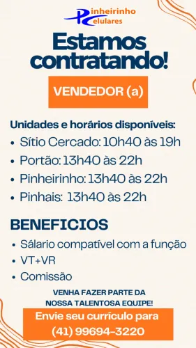 VENDEDOR DE LOJA FISICA