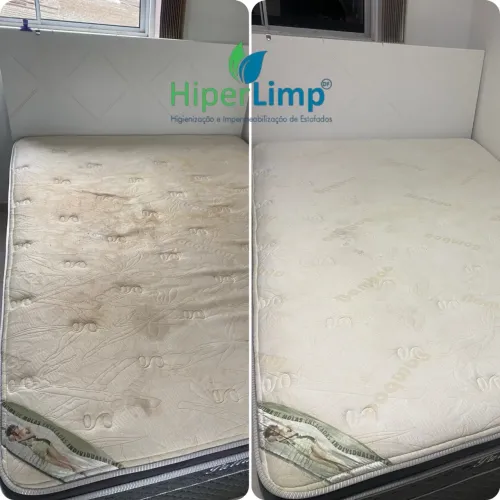 Limpeza profissional de estofados