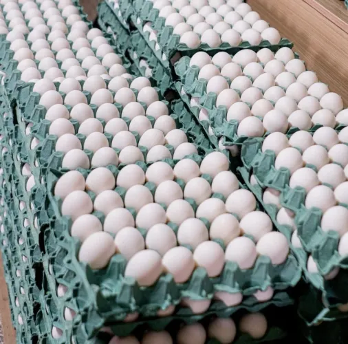 ?30 ovos extra 20 ?LaLor Hortifruti ?