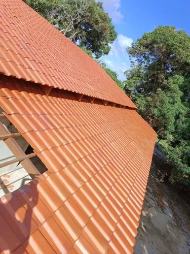 Telha Romana Cabeça Preta Especial / Super