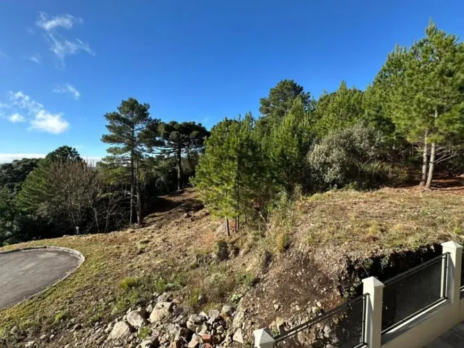 Terreno - Bairro Mato Queimado