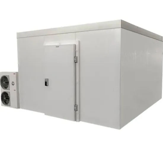 Câmara fria resfriado e congelamento