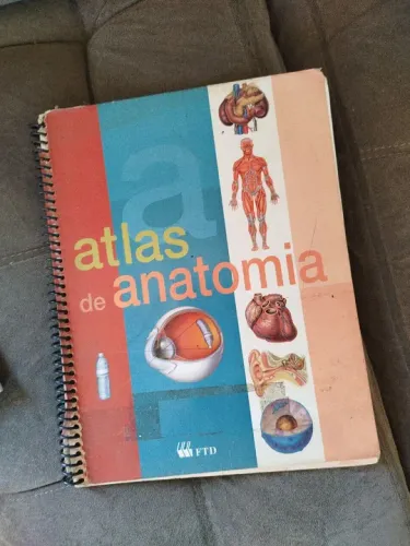 Atlas de Anatomia - Livro Didático