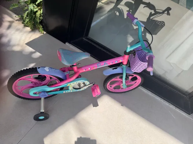 2 Bicicletas infantil menino/menina