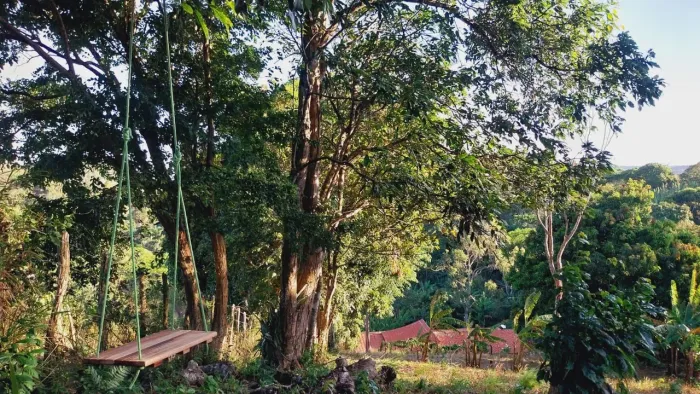 Terreno 1.000m² em Mulungu-CE - Sítio Couros (Documentação 100% OK)