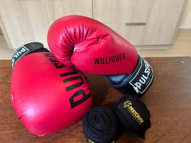 Luva de Boxe/Muay Thai Will Power 12 Oz - Conservada