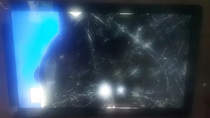 Televisão