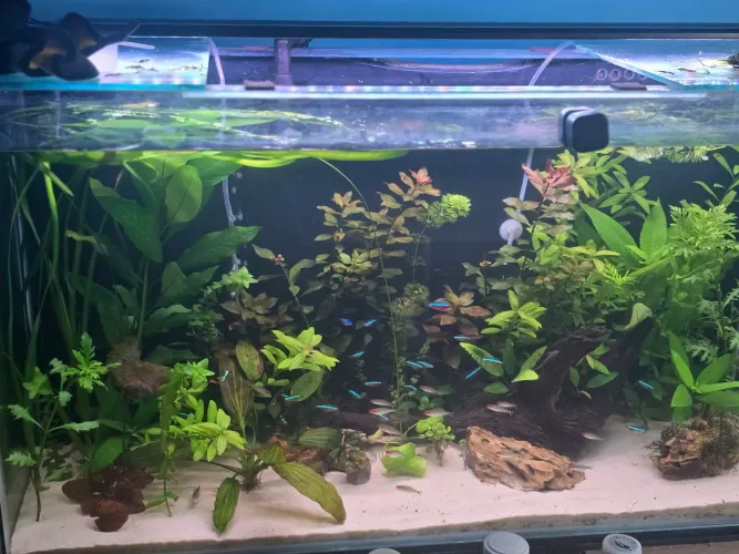Aquario completo 200 ltrs 