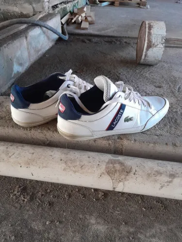 Sapatenis da Lacoste Original tamanho 43