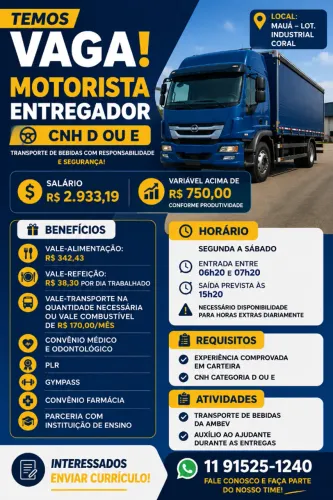 MOTORISTA ENTREGADOR