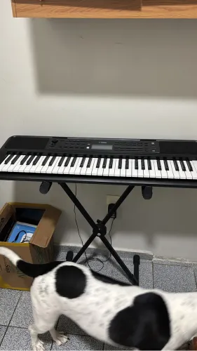 Teclado Yamaha