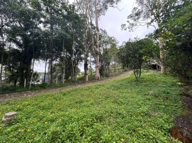 Terreno para Venda em Florianópolis, Cacupé