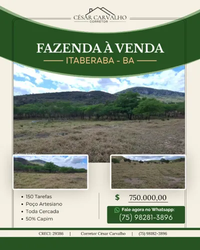 FAZENDA EM ITABERABA - 150 TAREFAS