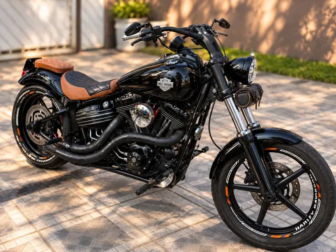 Harley-Davidson Softail Rocker/ Rocker C 1584cc 2009