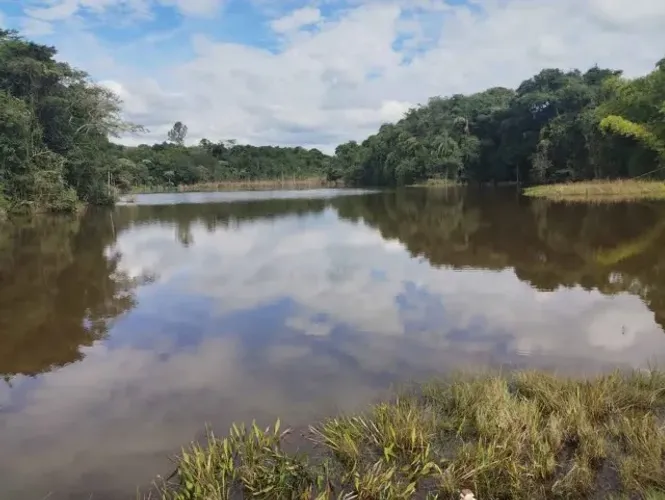 Maravilhoso Sítio com 37,5 Hectares, na região de Campanha/MG