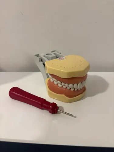 Manequim Odontológico MOM - Dentística (perfeito estado)