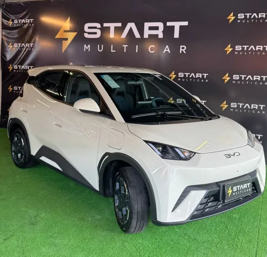 BYD Dolphin Mini (Elétrico) 2027