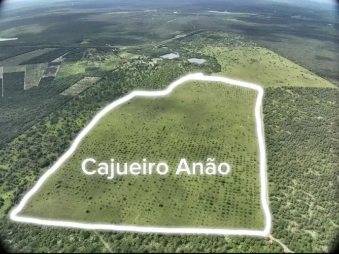 FAZENDA SÃO JOSE-OPORTUNIDADE DE INVESTIMENTO NO CE