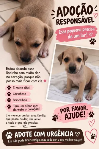 Adoção