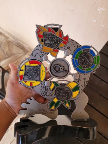 Medalhas e apoios 