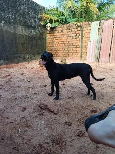 Doação