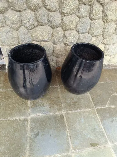 Vasos de planta