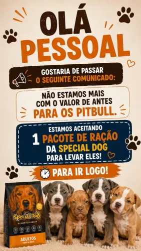 Raça Pura Pitbull