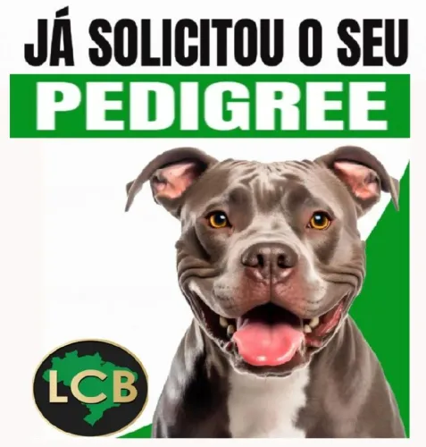 Solicite já o Pedigree do seu cão de raça
