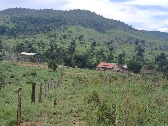 Fazendinha