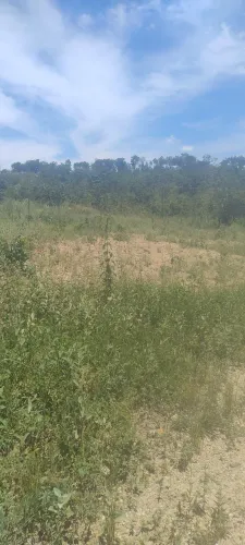 lote 25 X50 1.250m2 em condominio na beira do rio verde em Padre Bernado GO