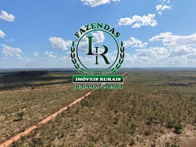 Fazenda Bruta Plana Tocantins Oportunidade- - Área de 360 Alqueires