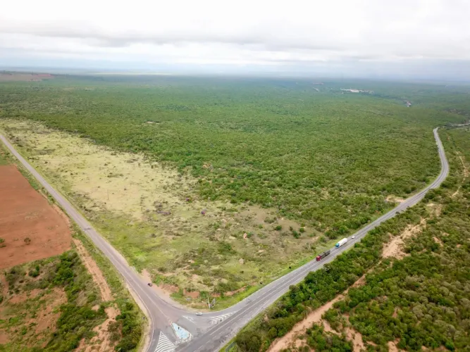 Terreno com 40.000m2 no entrocamento da BR 242 com a BA 142, entrada para Andaraí