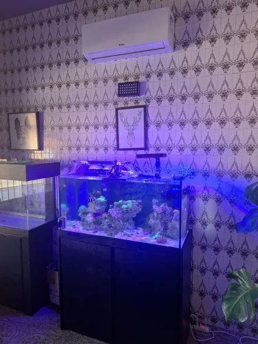 Aquario 250 litros