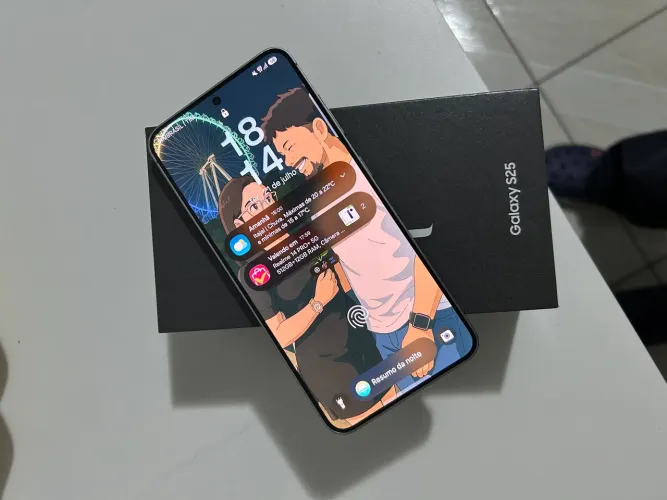 Samsung Galaxy S25 256 GB - Cinza | Excelente Estado