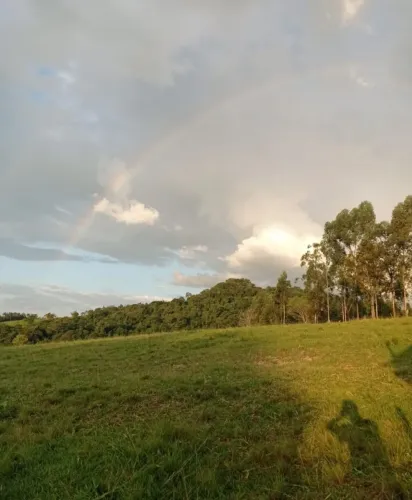 Vendo chácara 2.42 em vista alegre pr