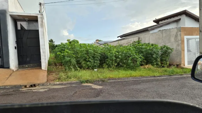 Terreno Urbano à Venda em Lucélia