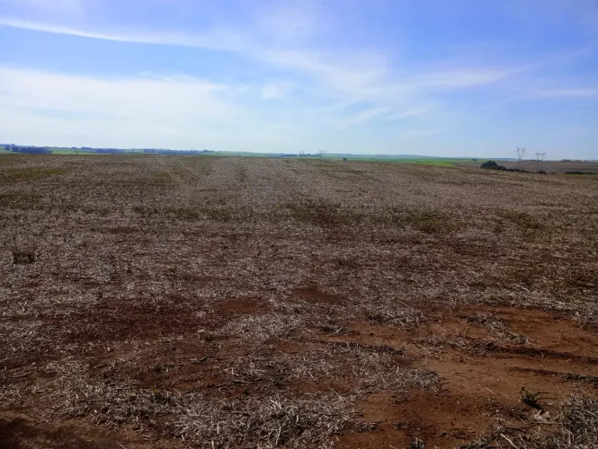 Fazenda 42 Alqueiro de planta 