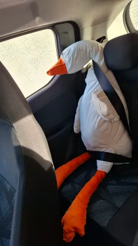 PATO GIGANTE