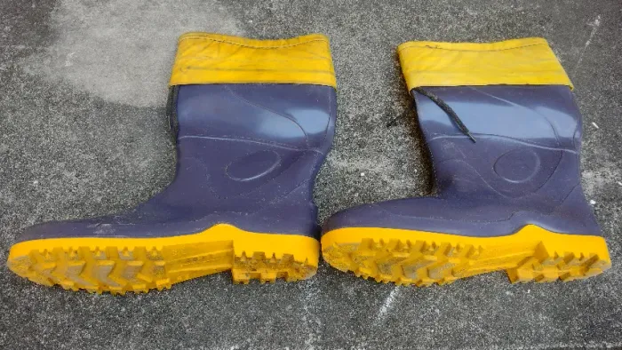 Bota botina