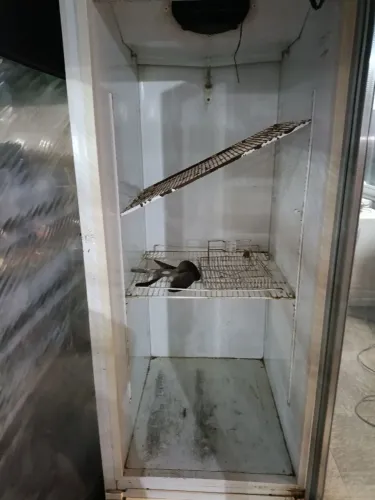 Freezer metalfrio *sem funcionar*