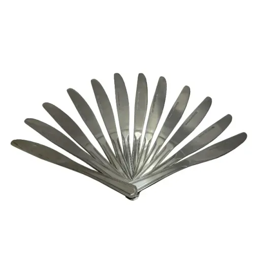 Jogo de Facas de Mesa em Inox com 12 Unidades