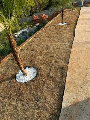 Grama Paisagismo Jardinagem Manutenção