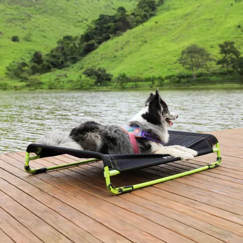 Cama ZeeDog Cachorros Air.Bed Preta - P