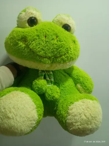 Urso pelúcia SAPO (57cm altura X 53cm largura)
