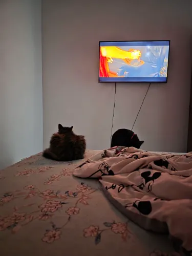 Tv smart Samsung 40''