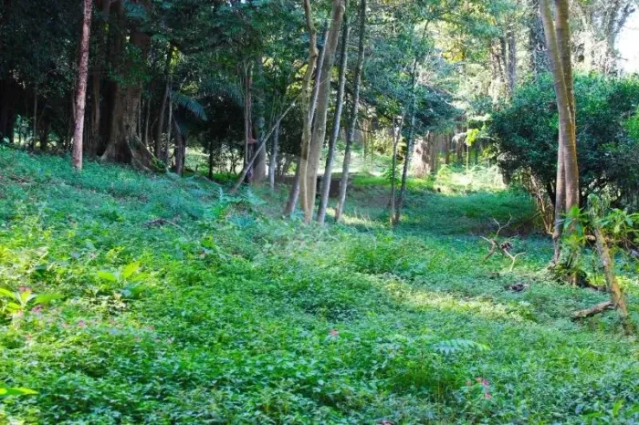 Terreno à venda no condomínio Chacara Flora, São Paulo - SP