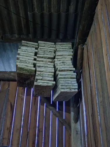 Vendo 50 bandejas de 200 cédulas de isopor, usadas só 1 vez valor 10 reais cada