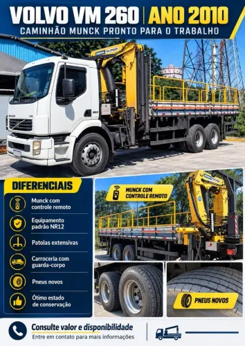 Caminhão munck VM 260 2010